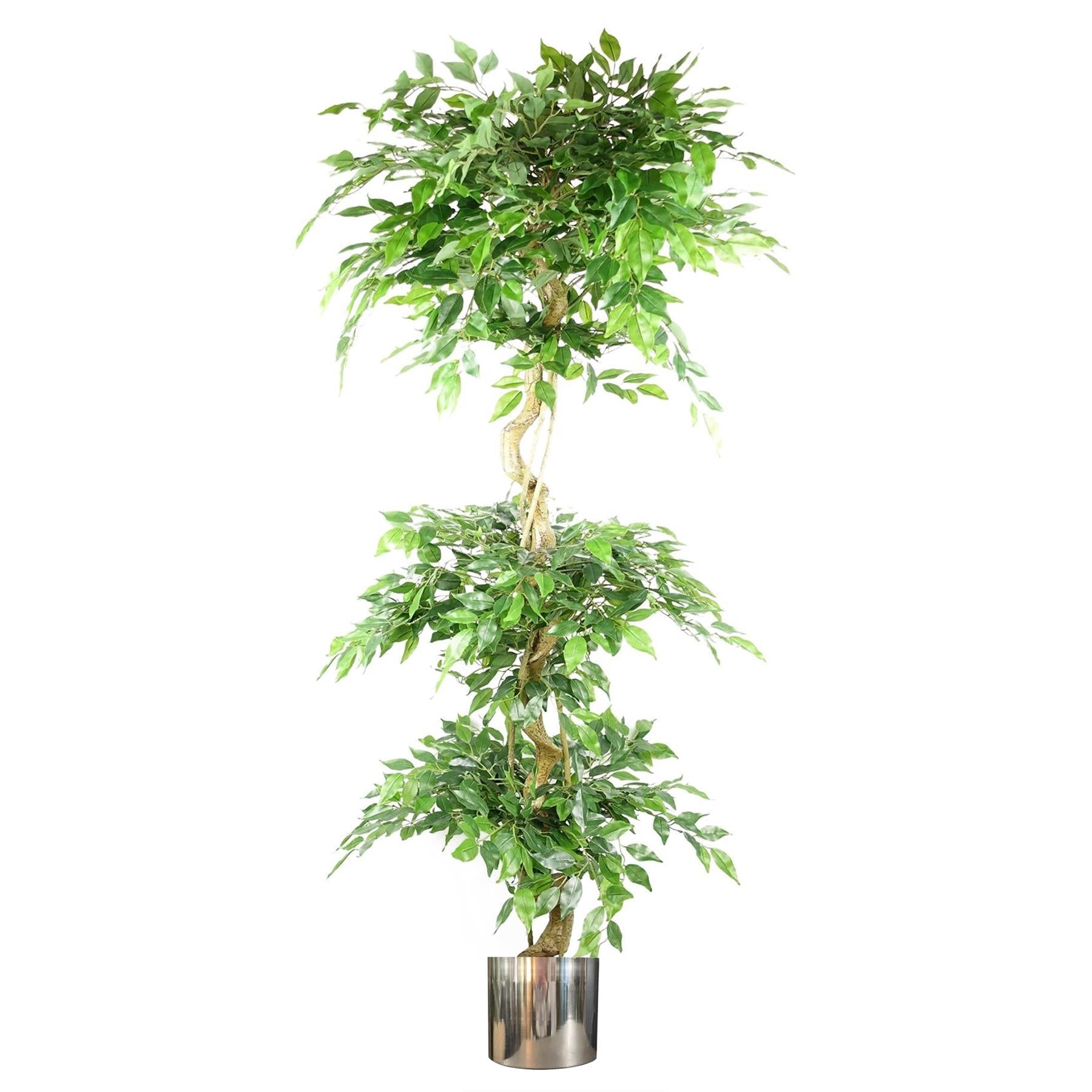 Artificial Ficus Triple Ball Tree 6ft Silver Metal Planter